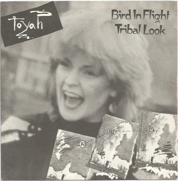 Bird In Flight / Tribal Look
