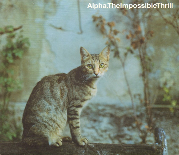 The Impossible Thrill