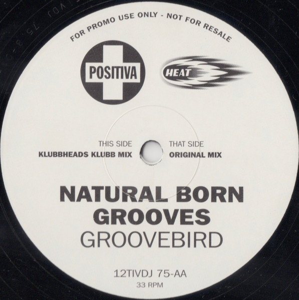 Groovebird