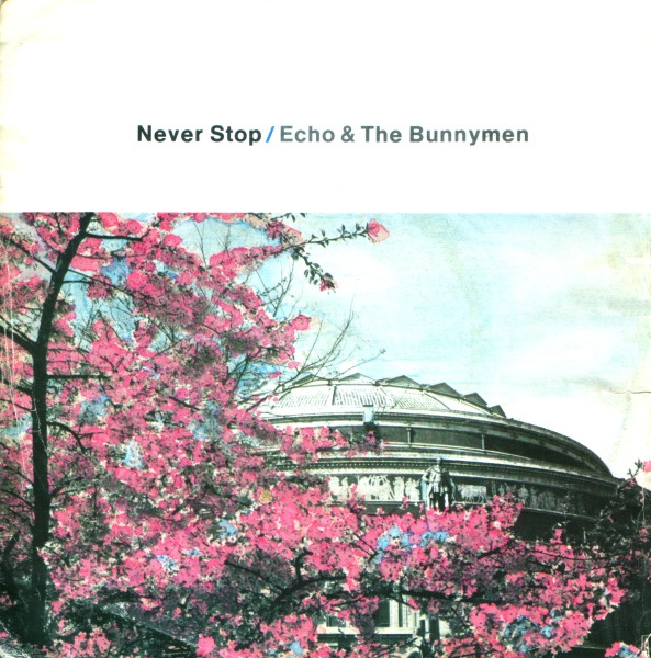 Never Stop 1