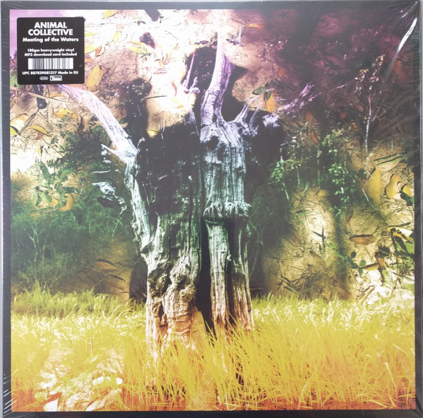 Meeting Of The Waters