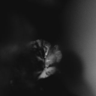 Holding Absence