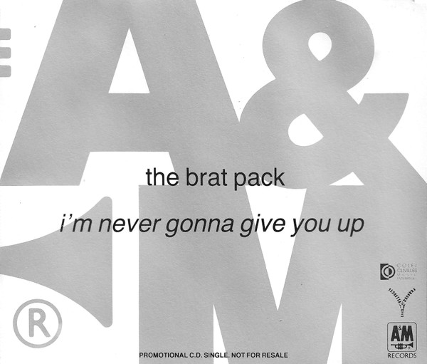 I'm Never Gonna Give You Up