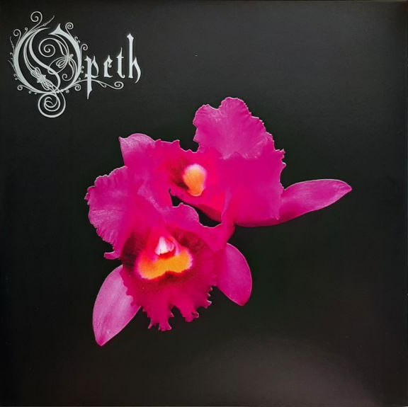 Orchid