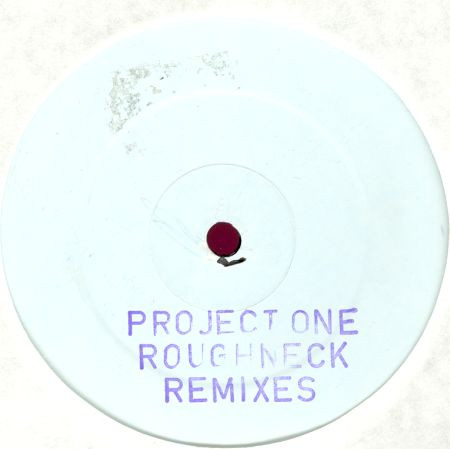 Roughneck Remixes