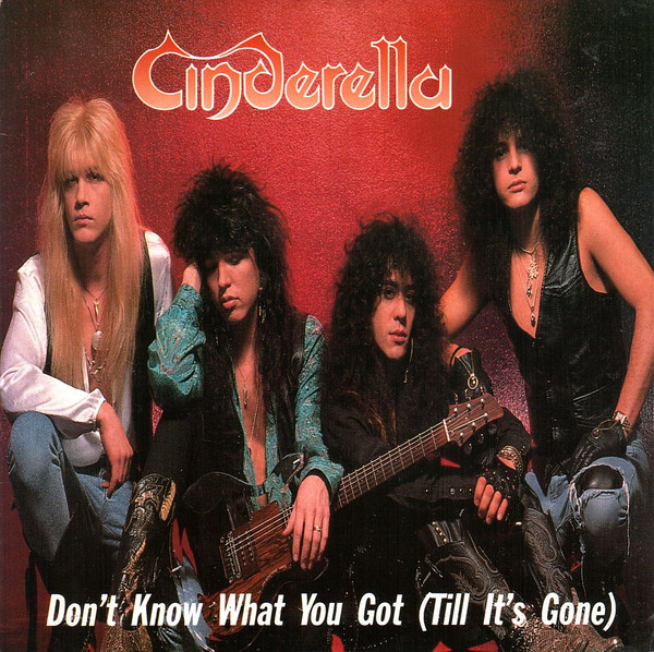 Don't Know What You Got (Till It's Gone)