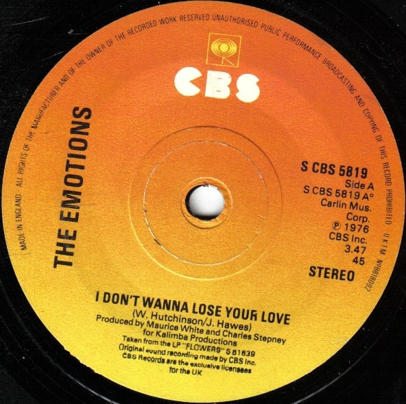 I Don't Wanna Lose Your Love
