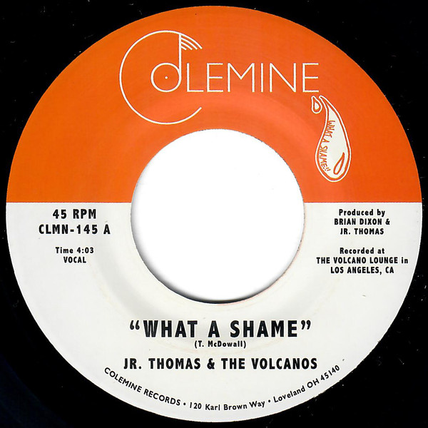 What A Shame / Brian Wilson
