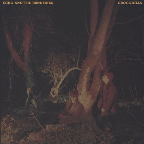 Crocodiles