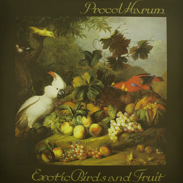 Exotic Birds And Fruit