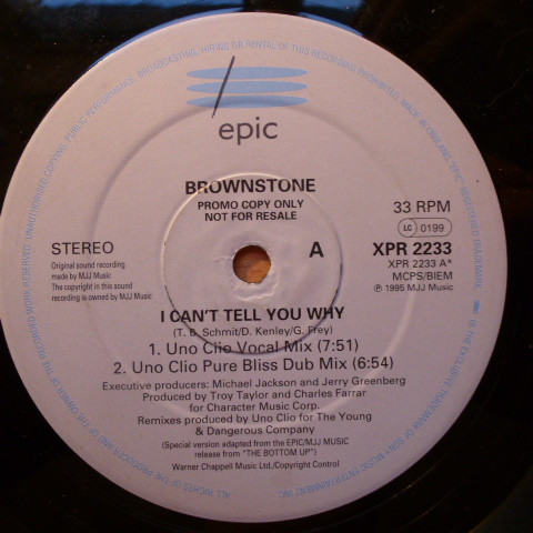 I Can't Tell You Why