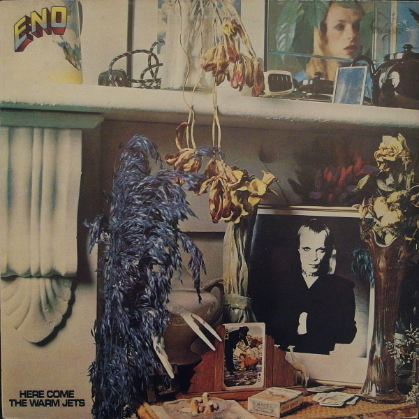 Here Come The Warm Jets