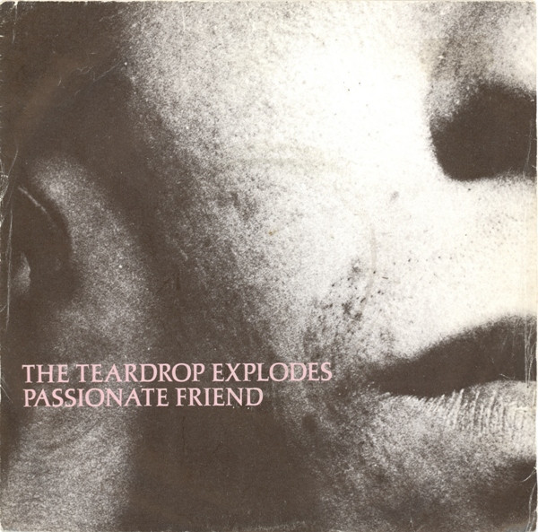 Passionate Friend