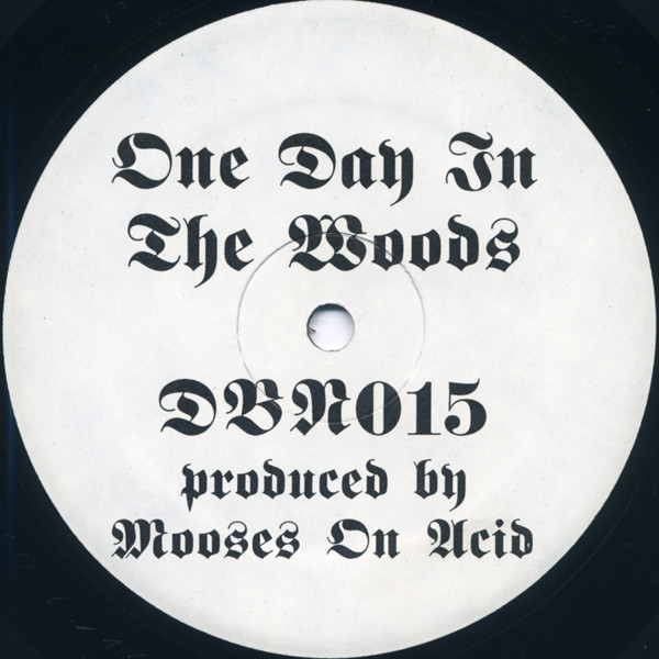 One Day In The Woods